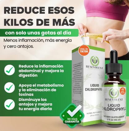 🍃CLOROFILA LIQUIDO GOTERO🍃